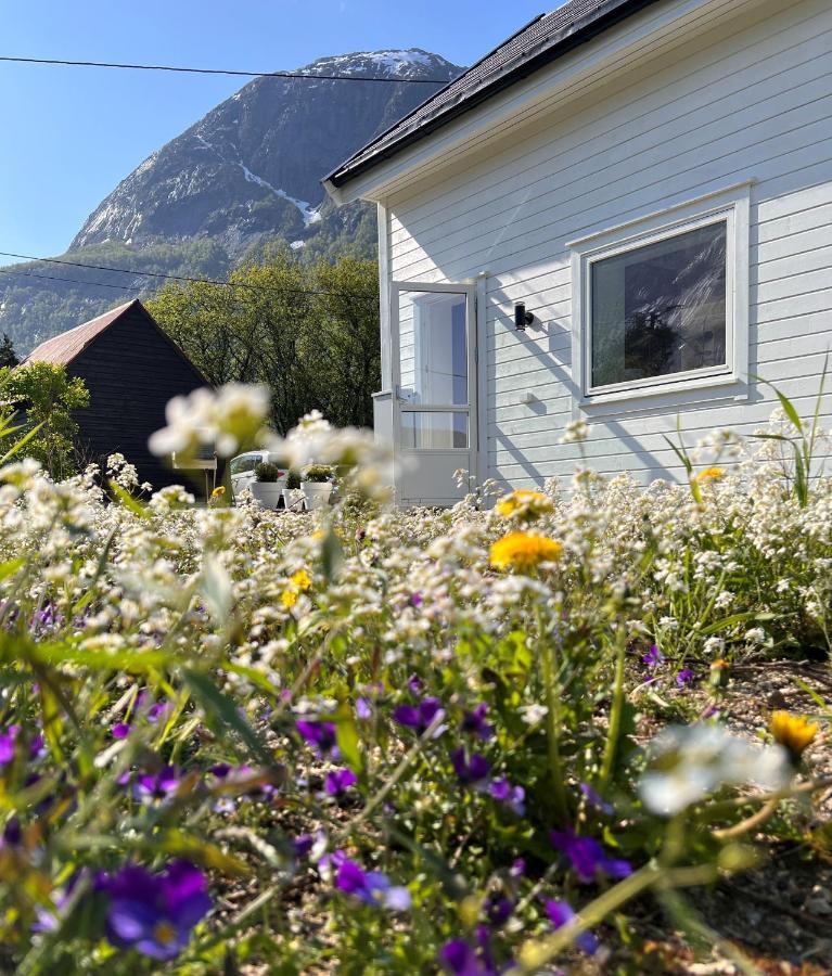 Cozy House In Eidfjord别墅 外观 照片